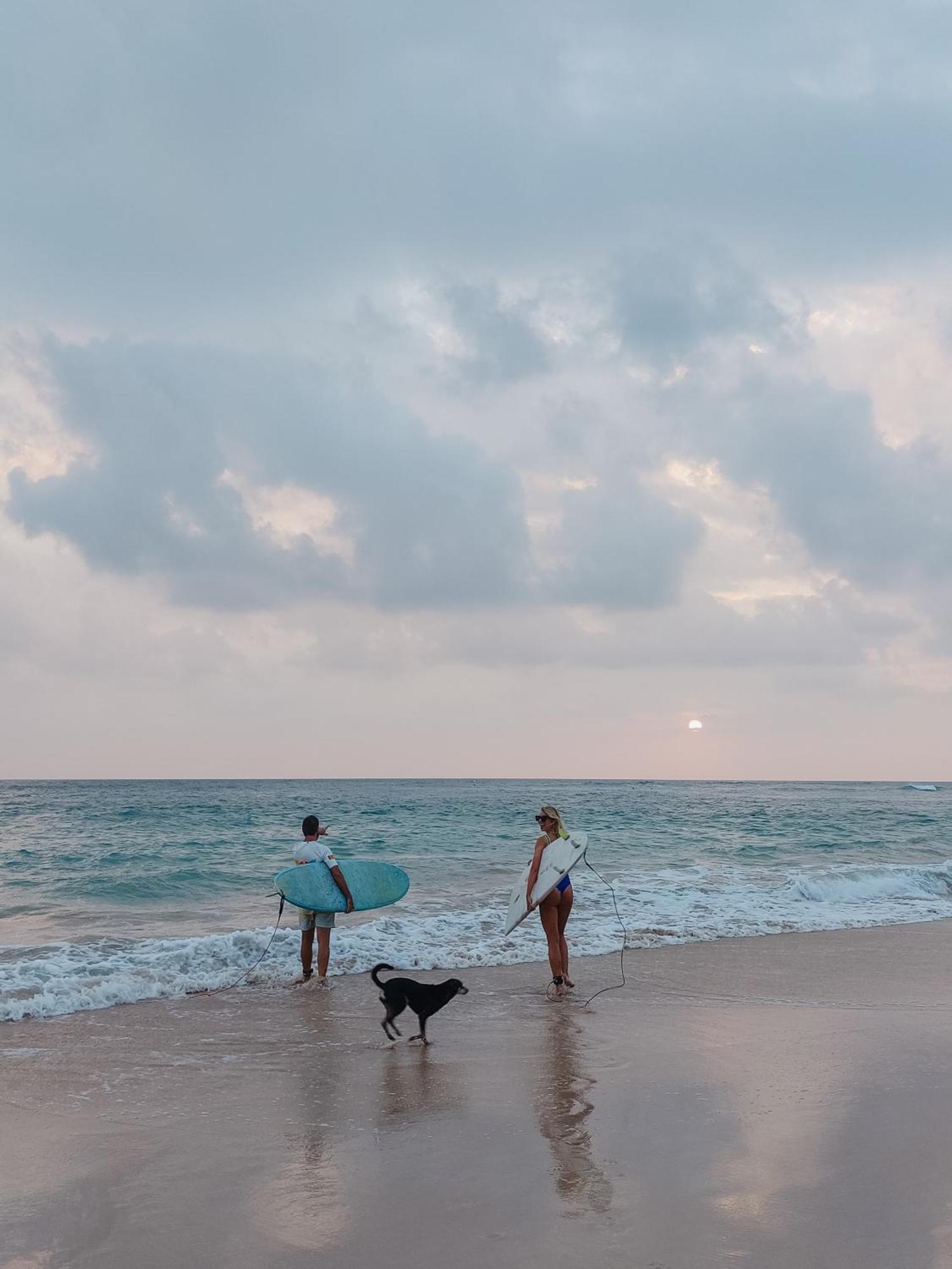 Gaia Ocean Surf Yoga Pansiyon Ahangama Dış mekan fotoğraf