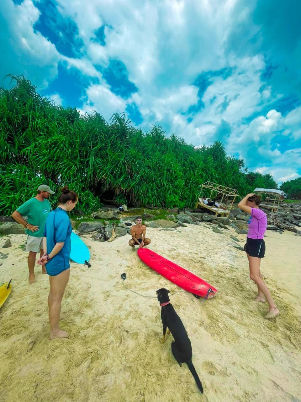 Gaia Ocean Surf Yoga Pansiyon Ahangama Dış mekan fotoğraf