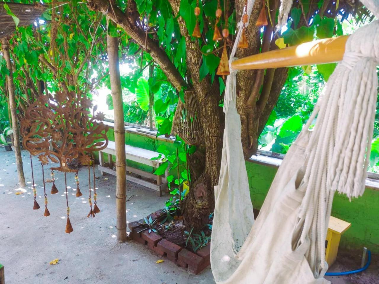 Gaia Ocean Surf Yoga Pansiyon Ahangama Dış mekan fotoğraf